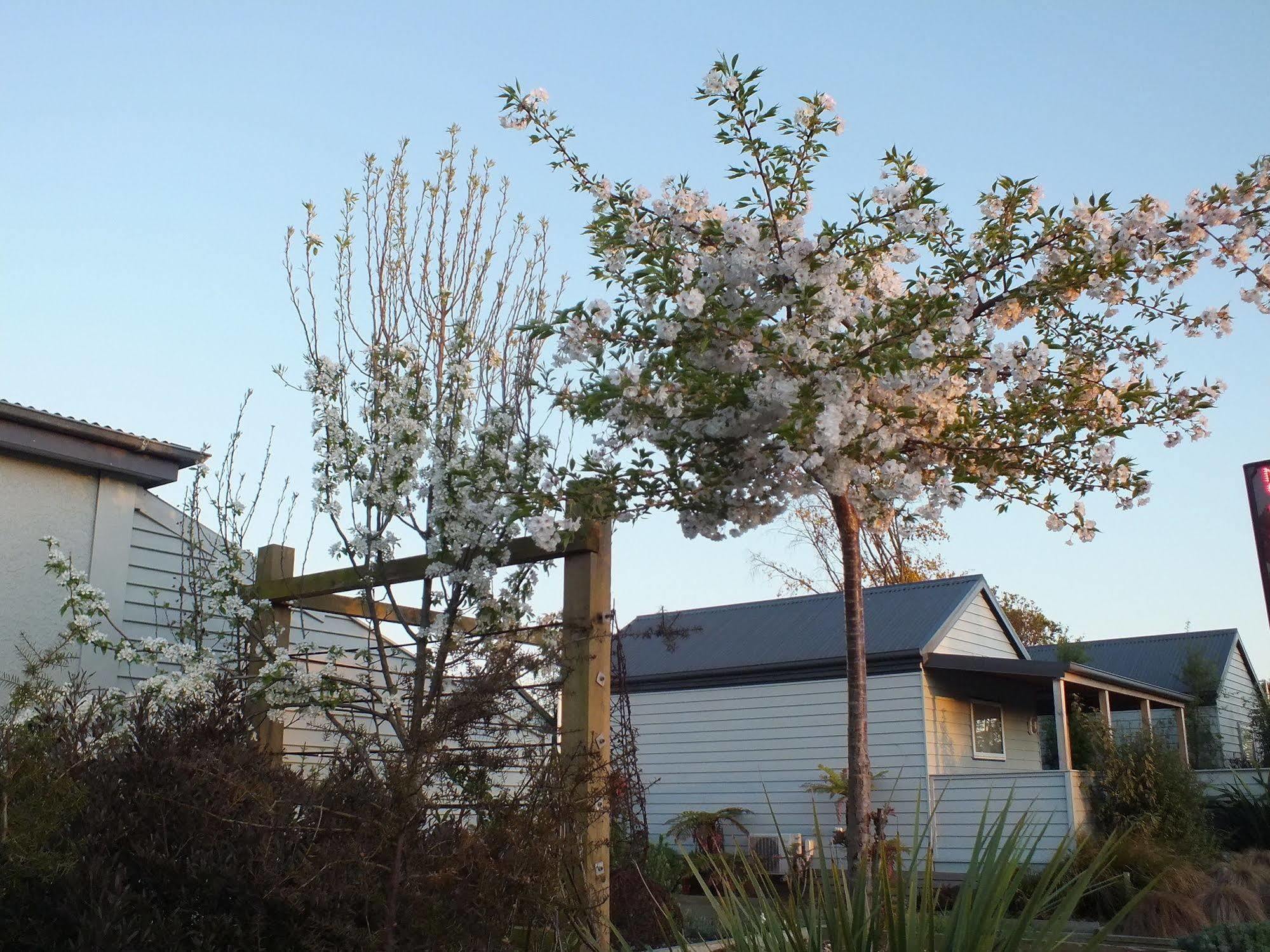 Cranford Cottages And Motel Christchurch Esterno foto